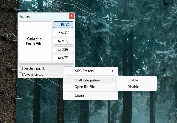 FlicFlac Converter