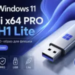 Windows 11 Mini x64 Pro